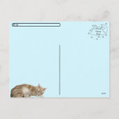 ポストクロッシング – スリーピー子猫タズ – キャットポストカード シーズンポストカード (裏面)