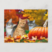 ポストクロッシング ティト、タズ&アニーの2025年感謝祭 シーズンポストカード (正面)