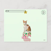 ポストクロッシング - ネコのカガン - クリスマス (裏面)