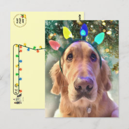 ポストクロッシング – ノバゴールデンレトリエバーのクリスマス ポストカード