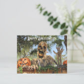 ポストクロッシング – ハロウィーンスケルトンとカボチャ シーズンポストカード (スタンド正面)