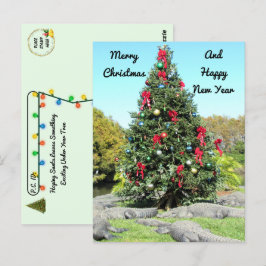 ポストクロッシング – フロリダゲータークリスマスツリー ポストカード
