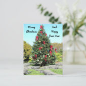 ポストクロッシング – フロリダゲータークリスマスツリー ポストカード (スタンド正面)