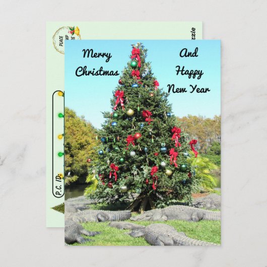 ポストクロッシング – フロリダゲータークリスマスツリー ポストカード (正面/裏面)