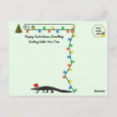 ポストクロッシング – フロリダゲータークリスマスツリー ポストカード (裏面)