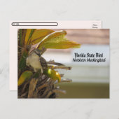 ポストクロッシング – フロリダ州バードポストカード ポストカード (正面/裏面)