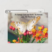 ポストクロッシング – ホワイトピーコックバタフライ引用文 ポストカード (正面/裏面)