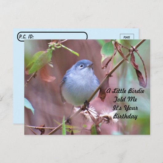 ポストクロッシング リトルバーディー バースデー ポストカード (正面/裏面)