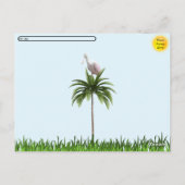 ポストクロッシング – ローズテスポンビル – フロリダのポストカード ポストカード (裏面)