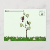 ポストクロッシング – 女性(鳥)ショウジョウコウカンチョウバックヤードバード ポストカード (裏面)