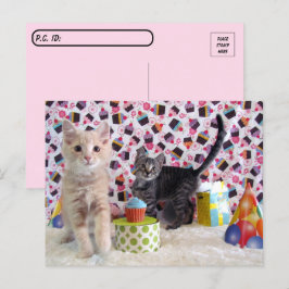ポストクロッシング - 猫たちの誕生日おめでとう ポストカード