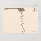 ポストクロッシング – 眠っている子猫タズ&ティートキャット ポストカード (裏面)