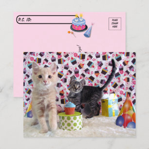 ポストクロッシング - 誕生日おめでとう - 猫 ポストカード