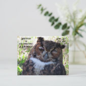 ポストクロッシング 誕生日 オオフクロウ ポストカード (スタンド正面)