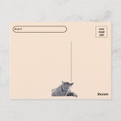 ポストクロッシング – 11ヶ月オールドクーガーCub Pic ポストカード (裏面)