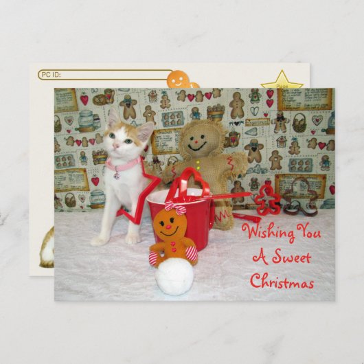 ポストクロッシング – Annie Cat Gingerbread Christmas ポストカード (正面/裏面)