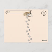 ポストクロッシング – Tazかわいいジンジャー虎猫- Cat ポストカード (裏面)