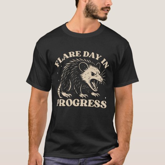ポストサムフレアの日 | 皮肉おもしろい後総和 Tシャツ (正面)