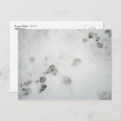 ポストサムプリント ポストカード (正面/裏面)