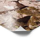 ポストボックスエスクデールクンブリア フォトプリント            (角)