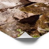 ポストボックスエスクデールクンブリア ポスター (コーナー)