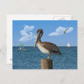 ポストポストポストポストポストポストポストポストポストカードのペリカン ポストカード (正面/裏面)