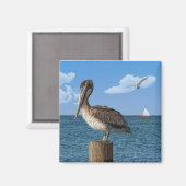 ポストマグネットのペリカン マグネット (正面/裏面)