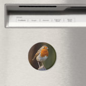 ポストマグネットのロビン マグネット (インサイチュ (食洗機))