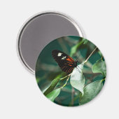 ポストマン184磁石 マグネット (正面/裏面)