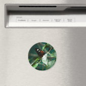 ポストマン184磁石 マグネット (インサイチュ (食洗機))