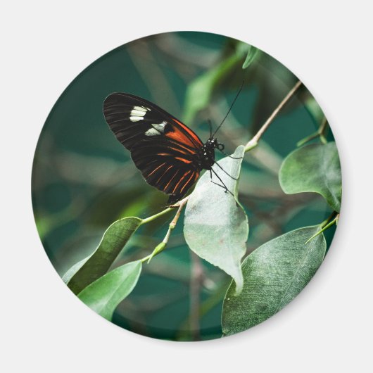 ポストマン184磁石 マグネット (正面)