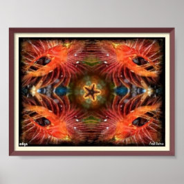 ポストリップ(幻覚体験)のようなター ポスター