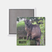 ポストCATマグネット マグネット (正面/裏面)