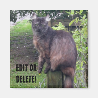 ポストCATマグネット マグネット