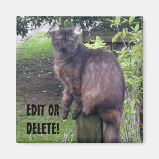 ポストCATマグネット マグネット (正面)