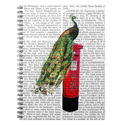 ポスボックス上の孔雀 ノートブック (正面)