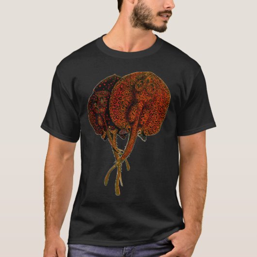 ポタモトリゴン淡水エイ モンスター魚 Tシャツ (正面)