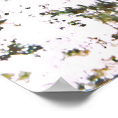 ポチドモレー ポスター (角)