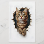 ポッキングアウトホールタブビーキャットCN6スクラップブック紙 (正面)