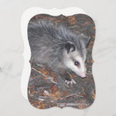 ポッサムの閉かわいらし鎖 招待状 (正面/裏面)