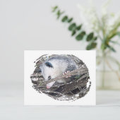 ポッサムオポッサム ポストカード (スタンド正面)