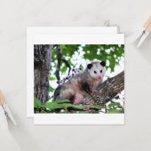 ポッサム、ママとベビー カード (正面/裏面インサイチュ)