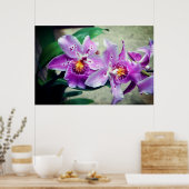 ポッシュパープルオーキンスのポスター ポスター (キッチン)