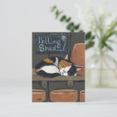 ポッティング・シェッド・ポストカードに登場するカリコ猫 ポストカード (スタンド正面)