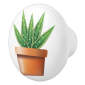 ポッテッドアロエベラ セラミックノブ (右)