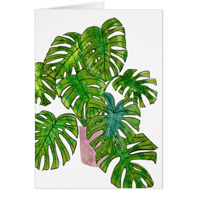 ポッテッドジャングルI (正面)