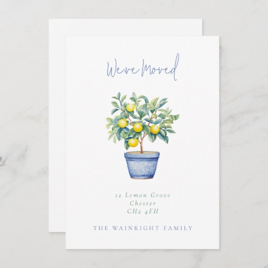 ポッテッドレモンツリー引っ越しました新しいアドレス 案内状 (正面/裏面)