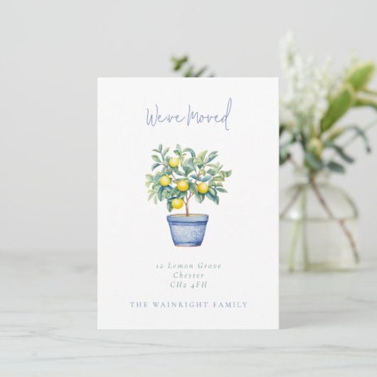 ポッテッドレモンツリー引っ越しました新しいアドレス 案内状 (スタンド正面)