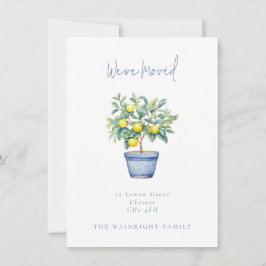 ポッテッドレモンツリー引っ越しました新しいアドレス 案内状