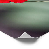 ポッテッド – 赤 ポスター (角)